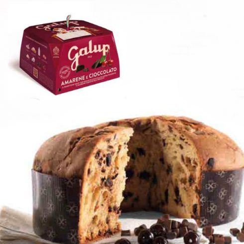 Panettone griotte et chocolat